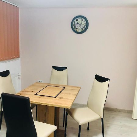 Central Park - Big Apartment - 3 Rooms - Free Parking T5 Timişoara Exteriör bild