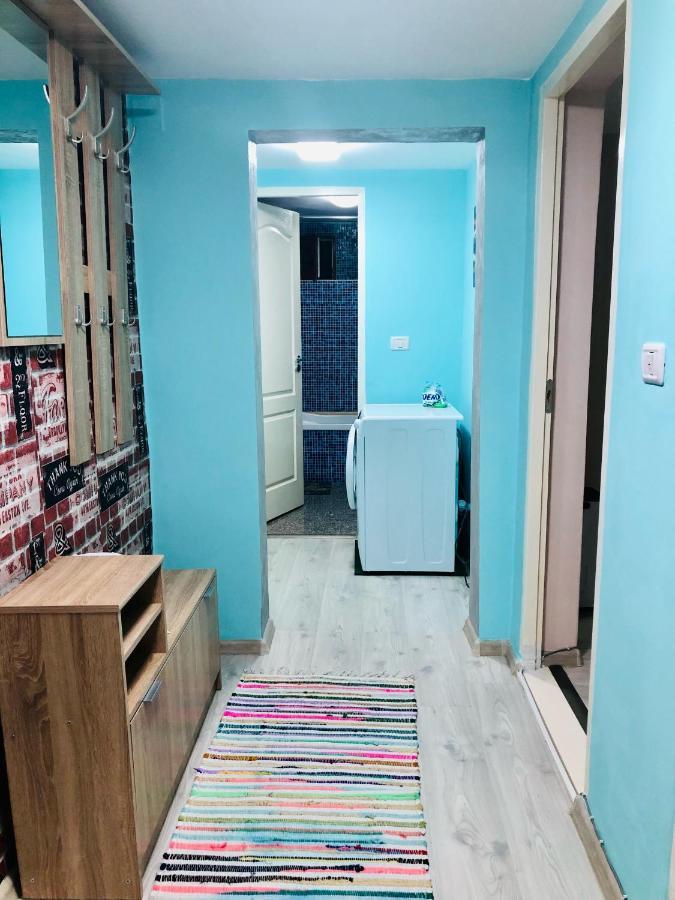 Central Park - Big Apartment - 3 Rooms - Free Parking T5 Timişoara Exteriör bild