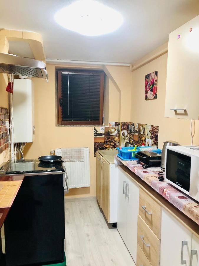 Central Park - Big Apartment - 3 Rooms - Free Parking T5 Timişoara Exteriör bild