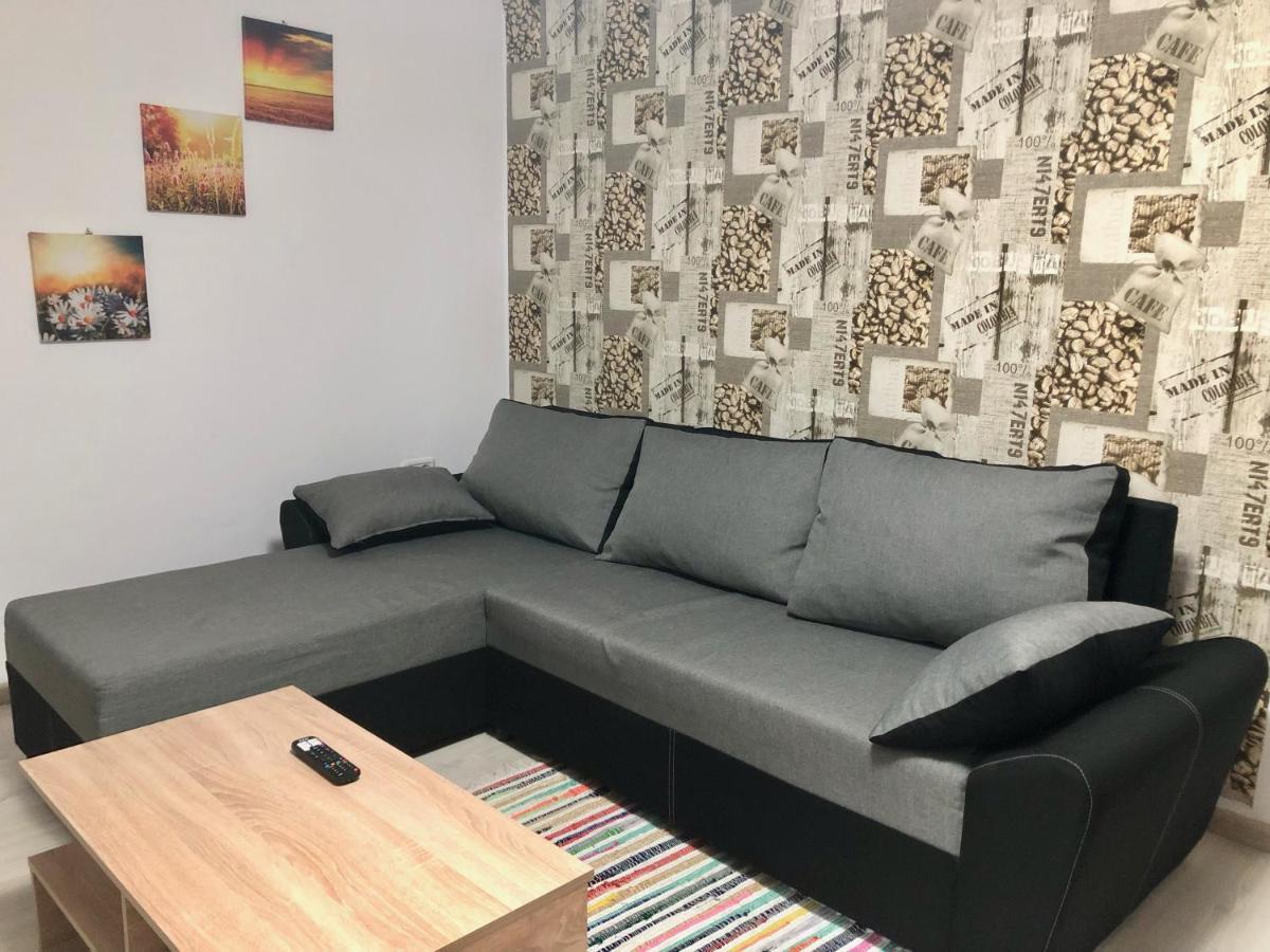 Central Park - Big Apartment - 3 Rooms - Free Parking T5 Timişoara Exteriör bild