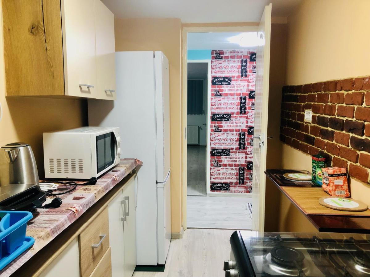 Central Park - Big Apartment - 3 Rooms - Free Parking T5 Timişoara Exteriör bild