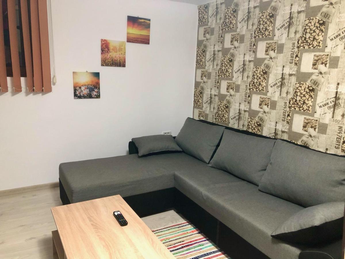 Central Park - Big Apartment - 3 Rooms - Free Parking T5 Timişoara Exteriör bild